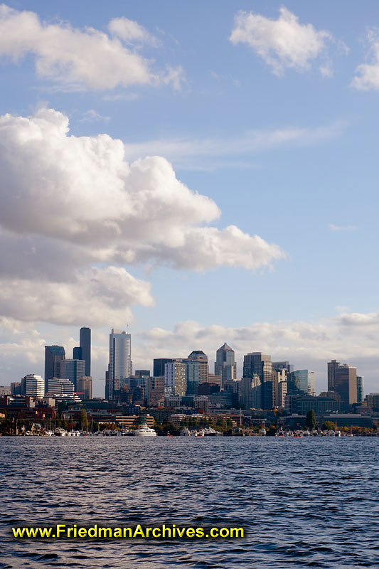 City,skyline,water,skyscrapers,